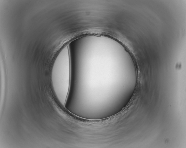 X0000091290013200708101036