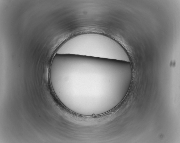 X0000091290014200708101036