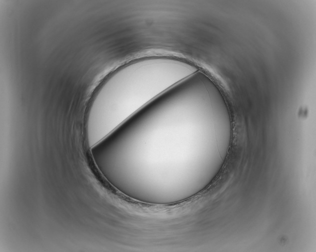 X0000091290015200708101036