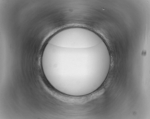 X0000091290016200708101036