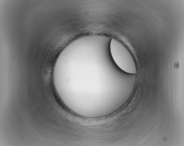 X0000091290018200708101036