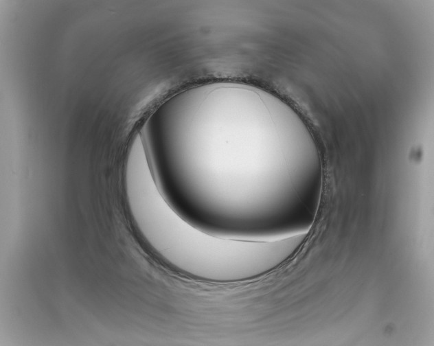 X0000091290019200708101036
