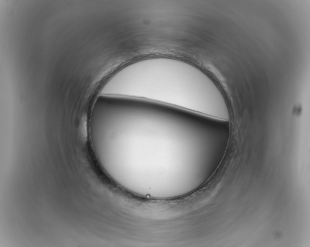 X0000091290020200708101036