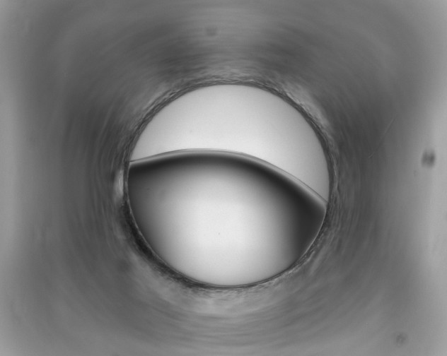 X0000091290021200708101036