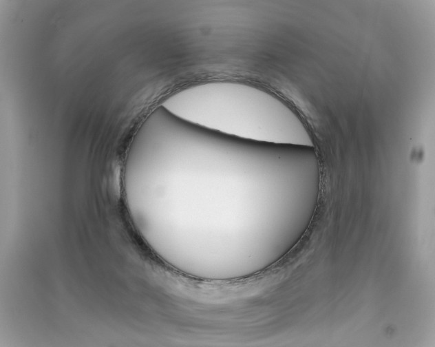 X0000091290022200708101036