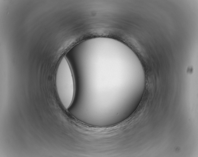 X0000091290023200708101036