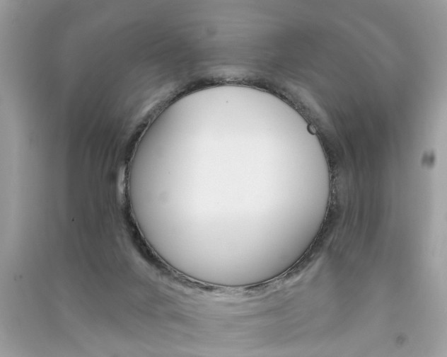 X0000091290024200708101036