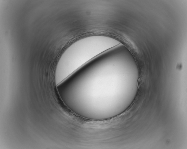 X0000091290025200708101036