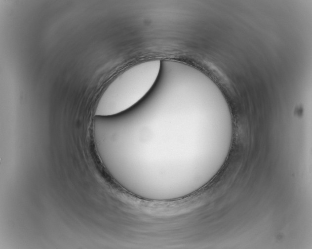 X0000091290026200708101036