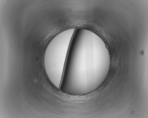 X0000091290027200708101036