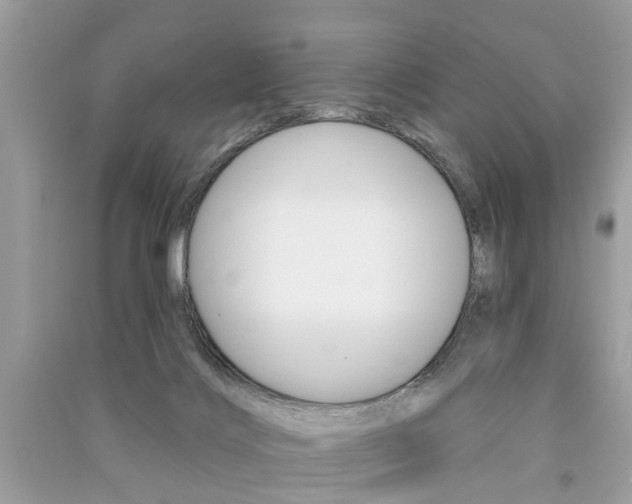 X0000091290028200708101036