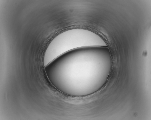 X0000091290029200708101036