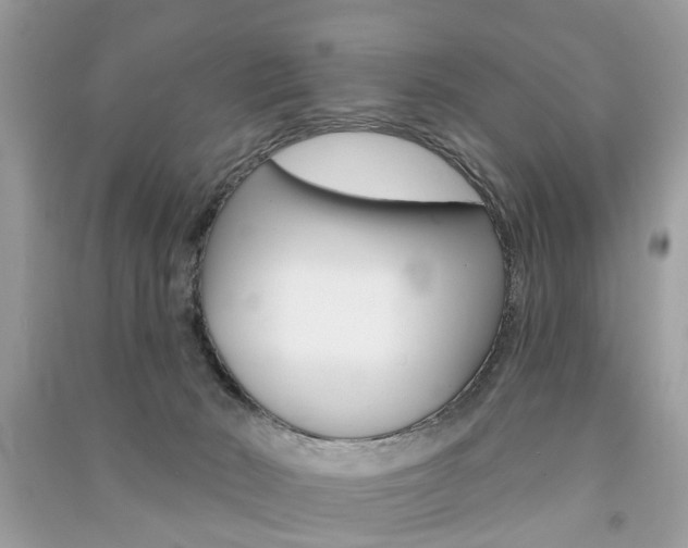 X0000091290030200708101036
