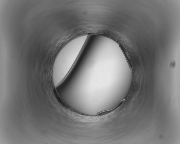 X0000091290031200708101036