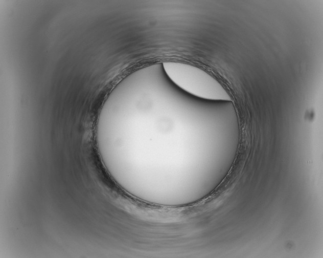 X0000091290032200708101036
