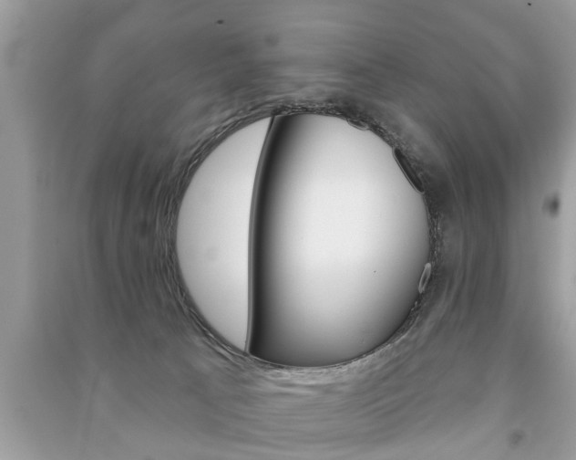 X0000091290033200708101036