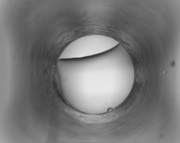 X0000091290034200708101036