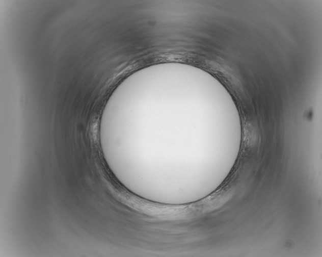 X0000091290036200708101036