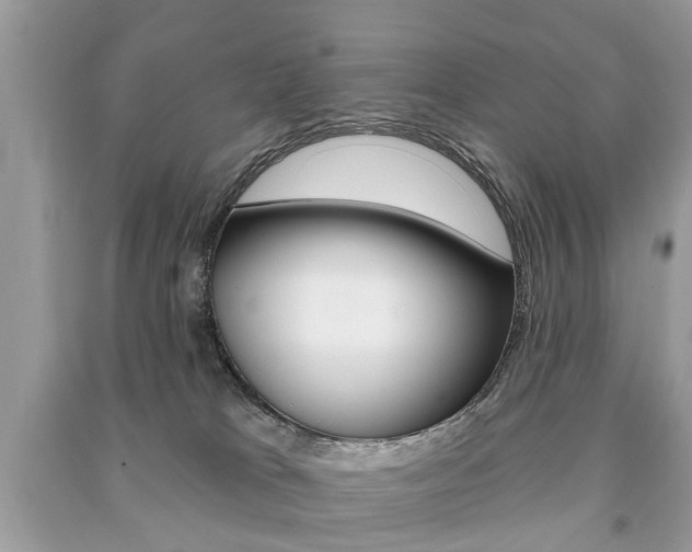 X0000091290037200708101036