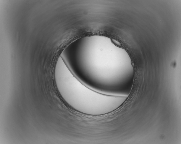 X0000091290039200708101036