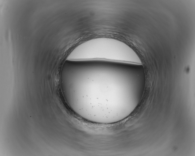 X0000091290040200708101036
