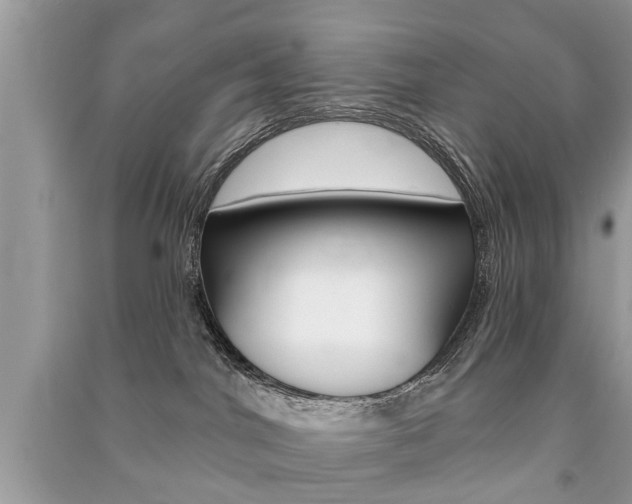X0000091290044200708101036