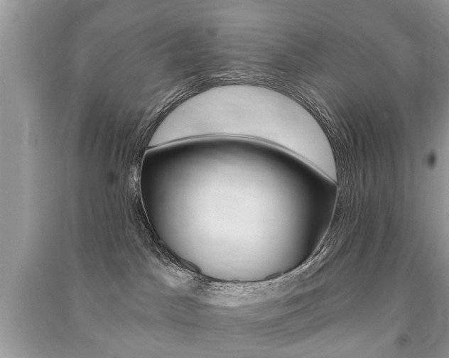 X0000091290045200708101036