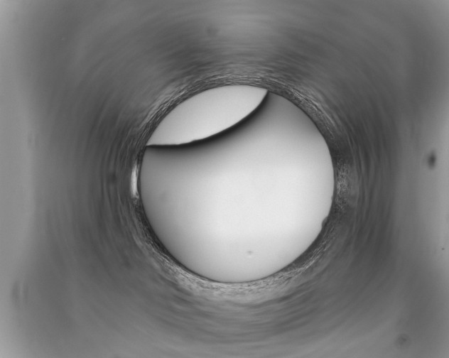 X0000091290046200708101036