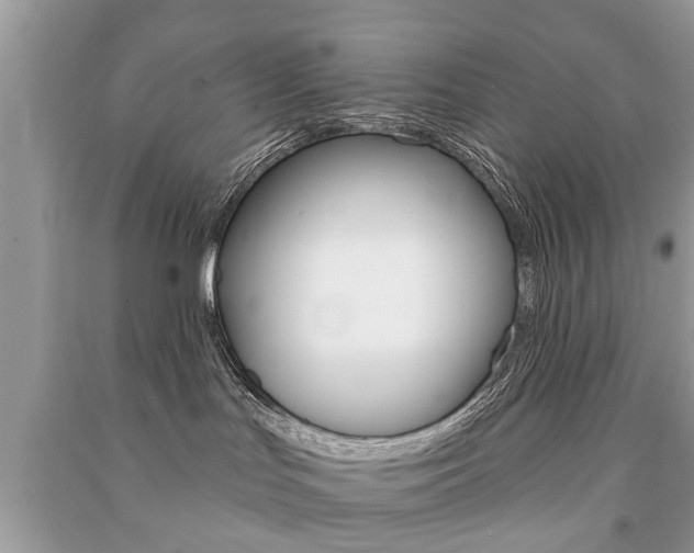 X0000091290047200708101036
