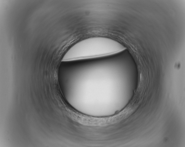 X0000091290048200708101036