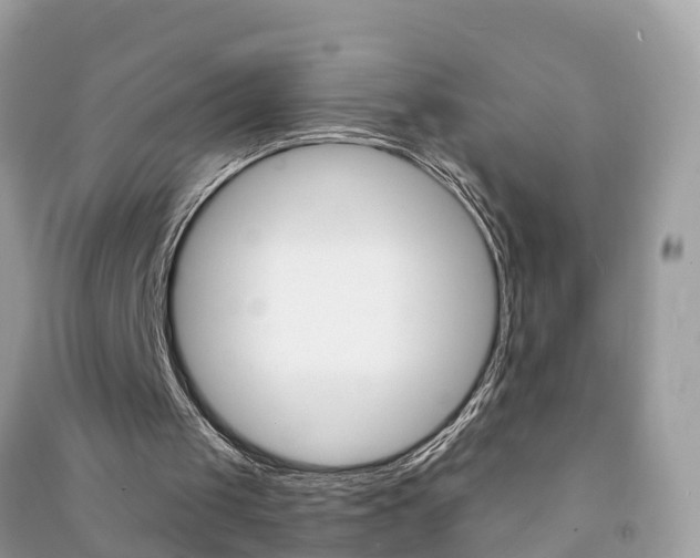 X0000091290049200708101035