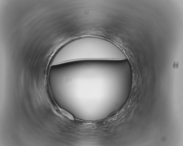 X0000091290050200708101035