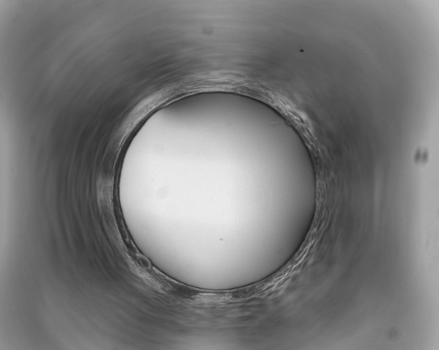 X0000091290051200708101035