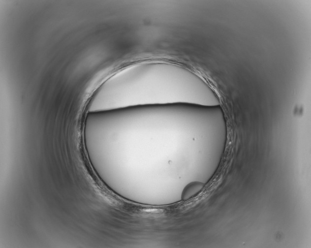 X0000091290053200708101035