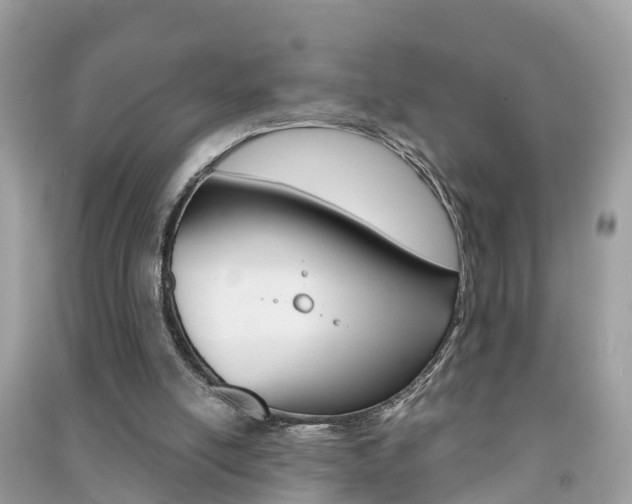 X0000091290054200708101035