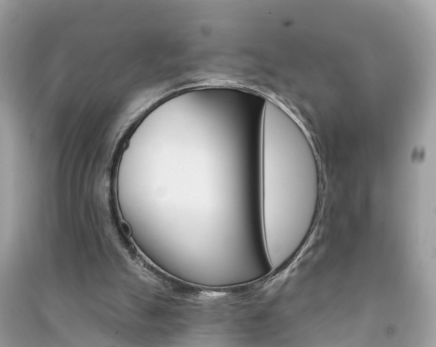 X0000091290055200708101035