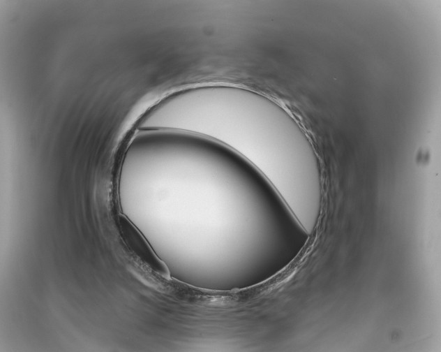 X0000091290056200708101035