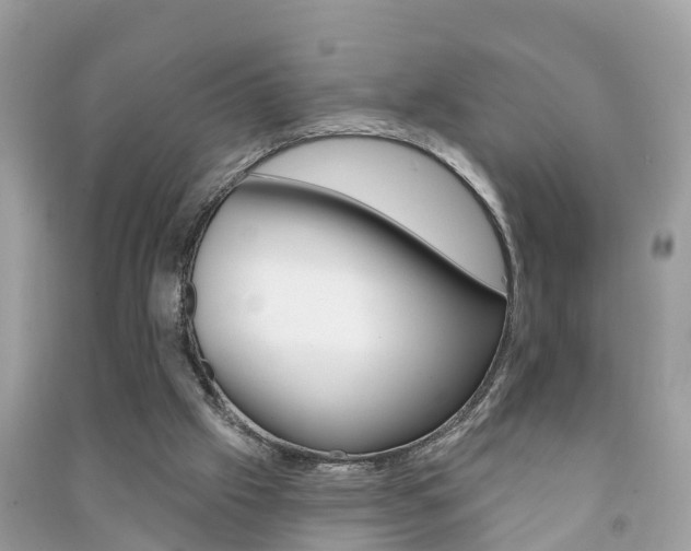 X0000091290057200708101035