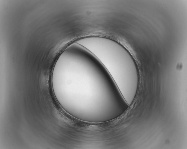 X0000091290058200708101035