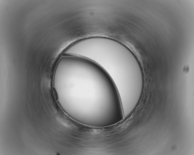 X0000091290060200708101035