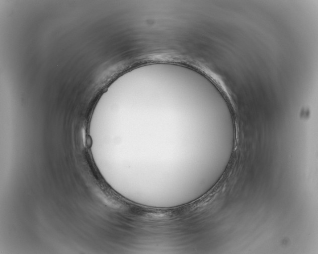 X0000091290061200708101035