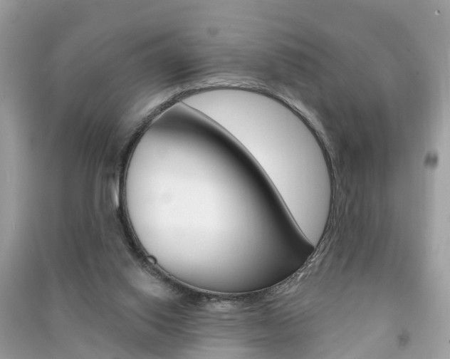 X0000091290062200708101035