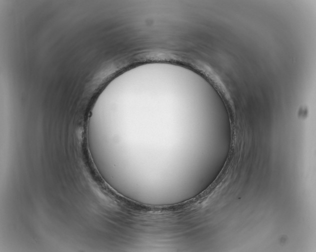 X0000091290063200708101035