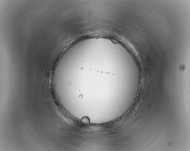 X0000091290065200708101035