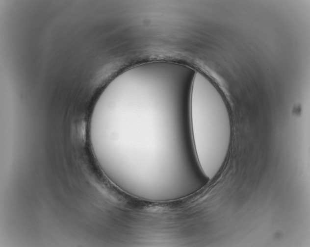 X0000091290067200708101035