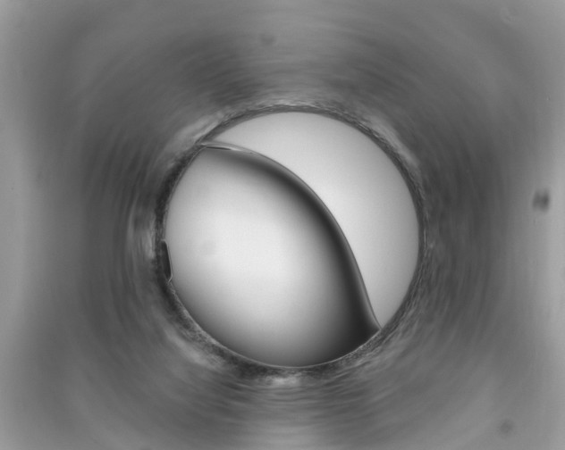 X0000091290068200708101035