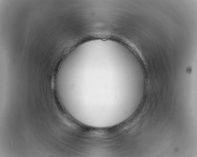 X0000091290069200708101035