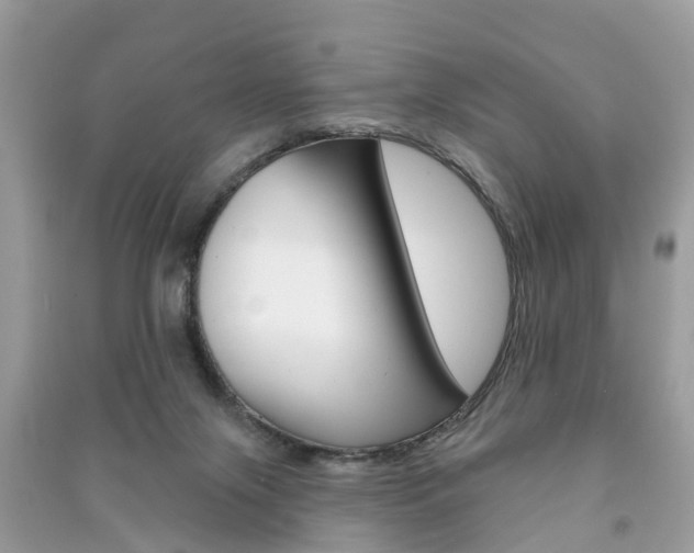 X0000091290071200708101035
