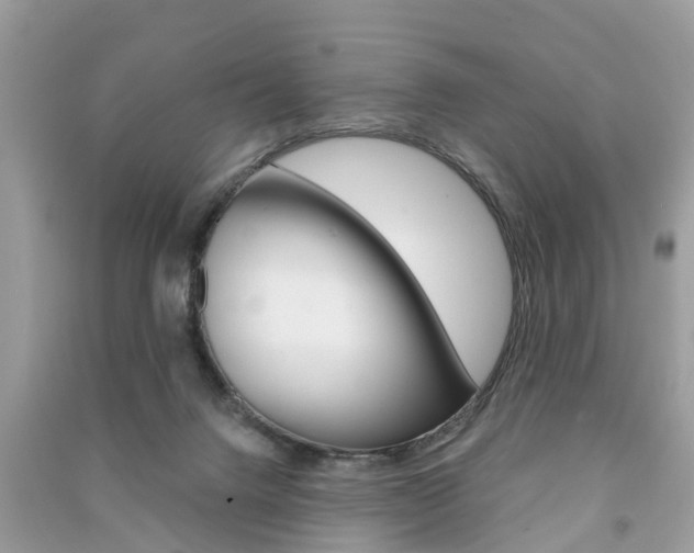 X0000091290072200708101035