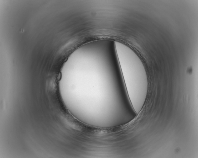 X0000091290074200708101035